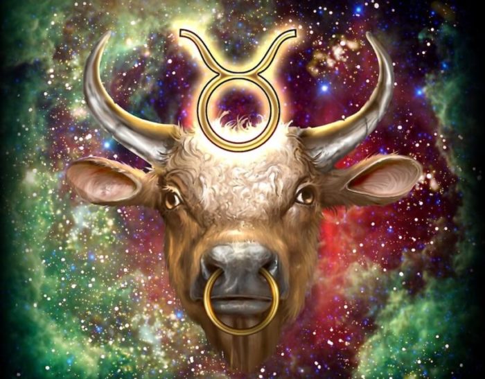 Натура тельцов