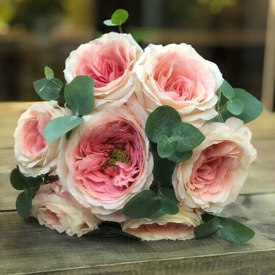 Пионы для свадьбы