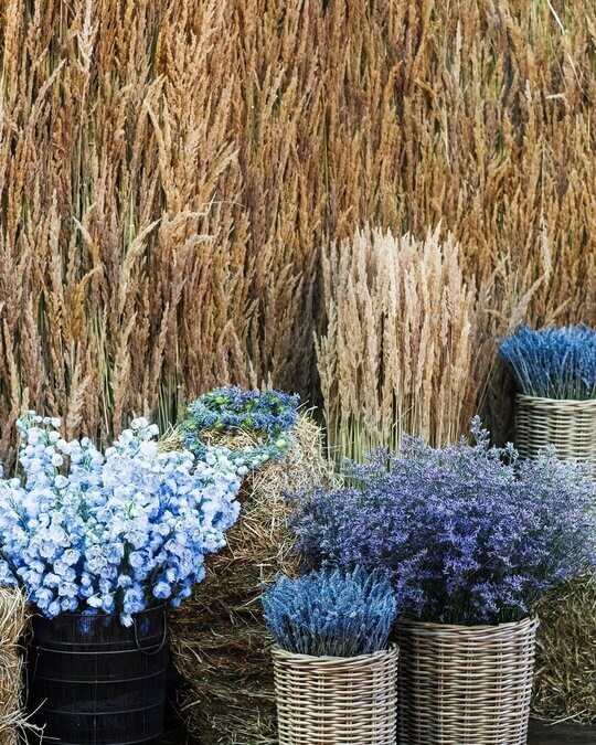 Цветы на свадьбу