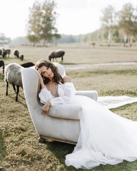 Овцы на свадьбе