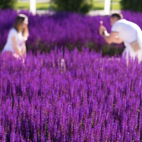 Парк в Краснодаре