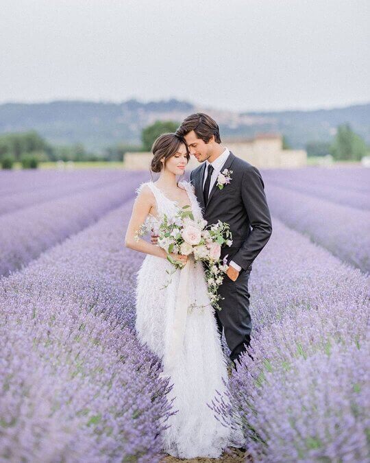 Лавандовое поле